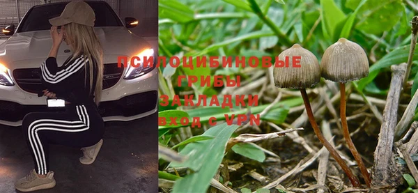 спайс Лагань