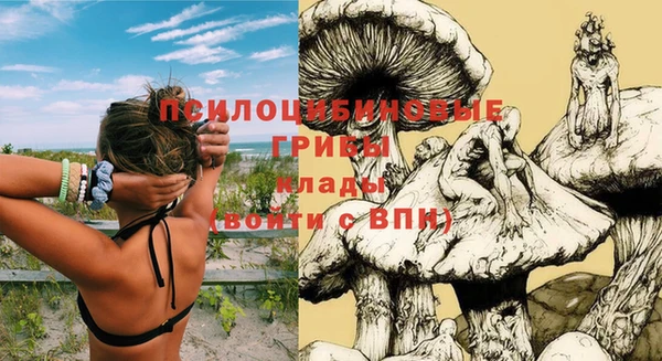 СК Березники