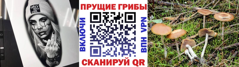 Галлюциногенные грибы GOLDEN TEACHER  цены   Трёхгорный 