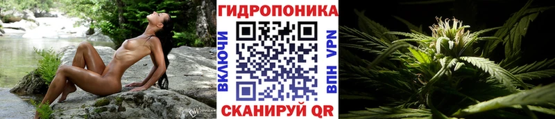 omg как зайти  Трёхгорный  Канабис White Widow 